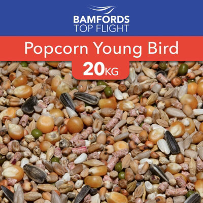 Bamfords Top Flight 'popcorn Young Bird' Racing Pigeon Food 20Kg from B&Q