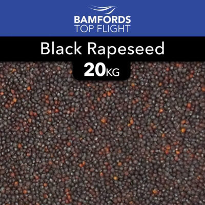 Bamfords Top Flight 'black Rapeseed' Bird Food 20Kg from B&Q