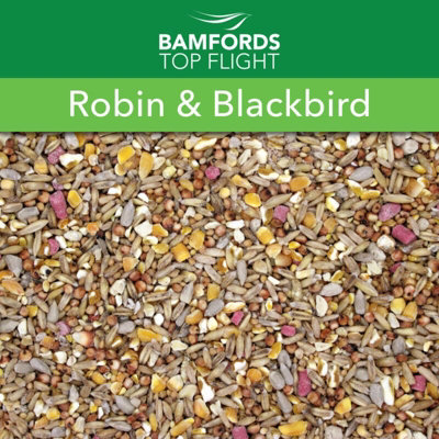 Bamfords 'robin & Blackbird Mealworm & Suet Blend' Wild Bird Seed 12.75Kg from B&Q