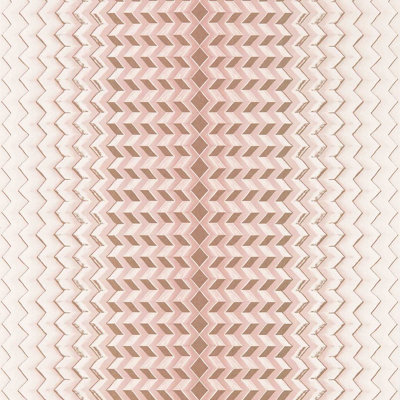 Clarke & Clarke  W0150/01 Fragment Blush/gold Wp from B&Q