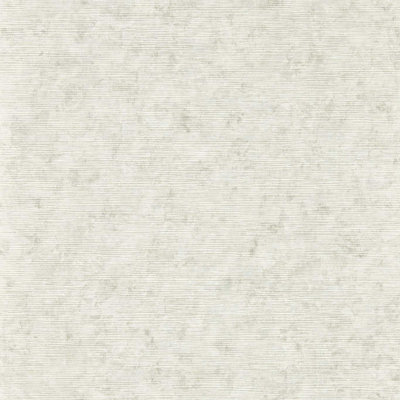 Clarke & Clarke  W0152/03 Impression Stone Wp from B&Q