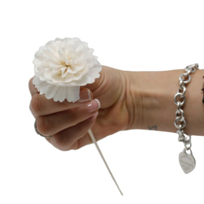 Serenityy Natural Diffuser FlowersHandmade Sola Wood Carnation On Reed23 Cm StringWhite from B&Q