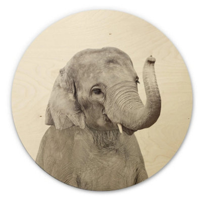 Anaglypta Baby Elephant Wooden Plaque 30Cm from B&Q