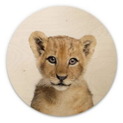 Anaglypta Baby Lion Cub Wooden Wall Plaque 30Cm from B&Q