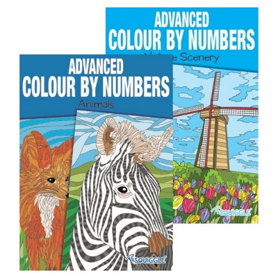 Single A4 32 Pages Animals OR Nature Advanced Colour by Numbers Book - Image 7