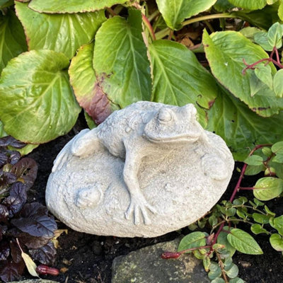 Frog On Rock Small Garden Ornament from B&Q