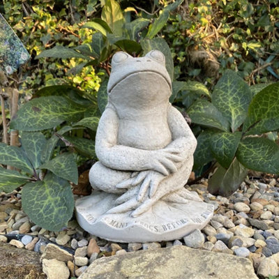 Cute Prince Frog Pond Ornament from B&Q