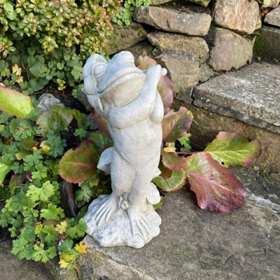 Frog With Umbrella Garden Ornament from B&Q