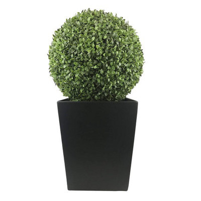 GreenBrokers 40Cm Boxwood Topiary Ball In Black Tin Planter (72Cm) from B&Q