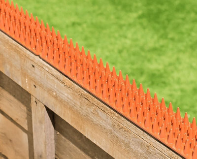 Pestbye Fence Spikes Cat Deterrent Anti Climb Terracotta Single Strips from B&Q