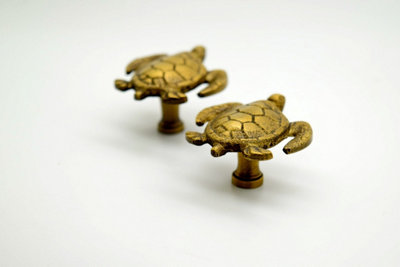 The Foundryman Turtle Design Brass Pull Handles from B&Q