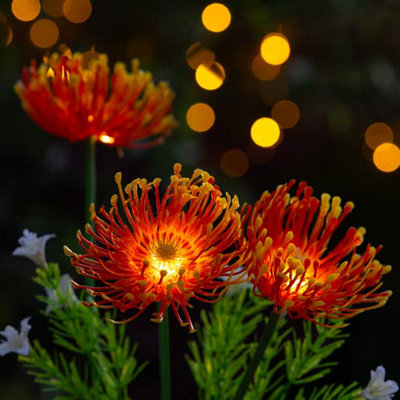 The Solar Centre Florin Solar Flower LightOrange from B&Q