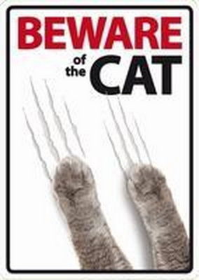 Magnet & Steel SignBeware Of The Cat from B&Q