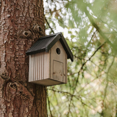 Peckish Blue Tit Natural Wood Nest Box from B&Q