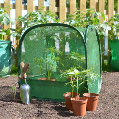 Gardenskill Pop-Up Mini Pot PlantSeedling & Herb Cover Grow House Cloche 0.5M H from B&Q