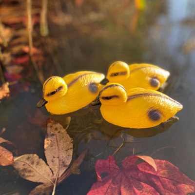 Garden Selections Decorative Plastic Floating Yellow Pond Ducklings (Pack Of 3) from B&Q