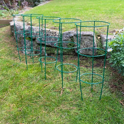 Selections Pack Of 5 Conical Garden Plant Support Rings (48Cm) from B&Q