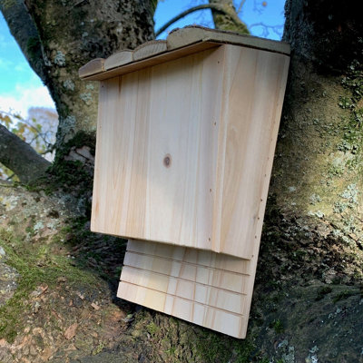 Selections Large Wooden Bat Nesting Roosting Box from B&Q