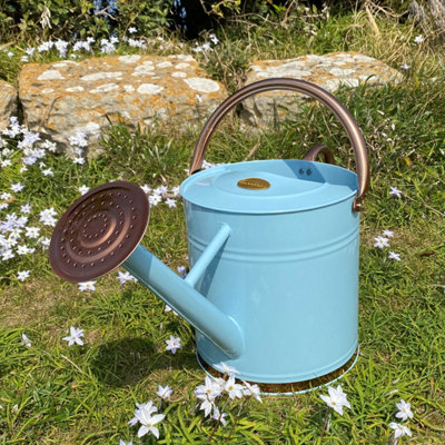 Selections Duck Egg Blue & Copper Metal Watering Can With Rose (9 Litre) from B&Q