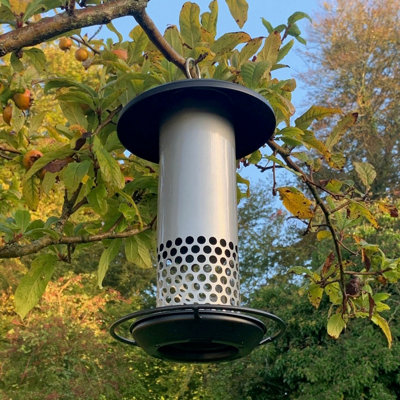 Selections Squirrel Resistant Hanging Bird Mealworm Feeder