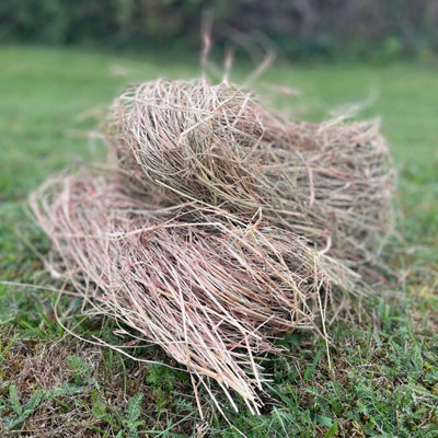 Selections Hedgehog House Nesting Straw Bedding Material (300G) from B&Q
