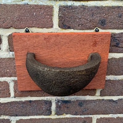 Selections Swallow Nest Bird House Rounded Half Cup Nester from B&Q