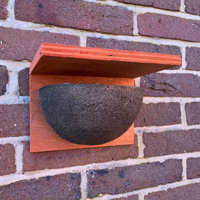 Selections House Martin Bird Nest Box Rounded Half Cup With Top Nester from B&Q