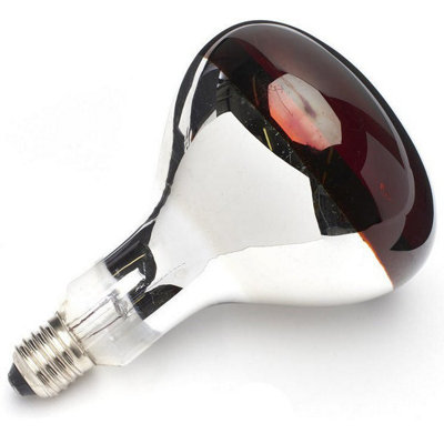 Uci Buffalo Infrared Heat Lamp Es Ruby250W from B&Q