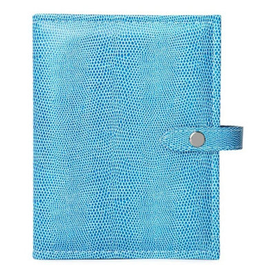 Little Little Book of Earrings - Blue Lizard - Image 3