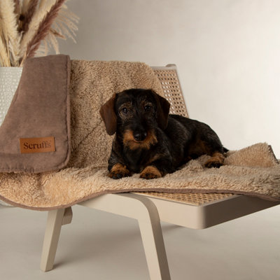 Shop Pet supplies