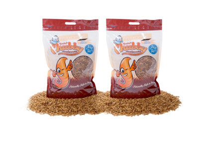 Chubby Mealworms 2Kg Chubby Dried Mealworms  (Nutritional Info: Protein 53%Fat 28%Fibre 6%Moisture 5%) from B&Q