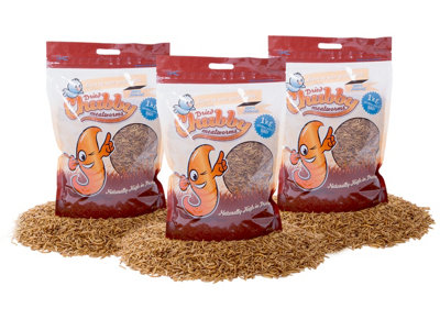 3Kg Dried Chubby Mealworms  (Nutritional Info: Protein 53%Fat 28%Fibre 6%Moisture 5%) from B&Q