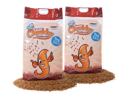 Chubby Mealworms 10Kg Chubby Dried Mealworms (Nutritional Info: Protein 53%Fat 28%Fibre 6%Moisture 5%) from B&Q