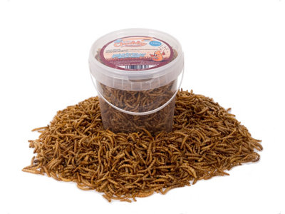 Chubby Mealworms 1 Litre Chubby Dried Mealworms from B&Q