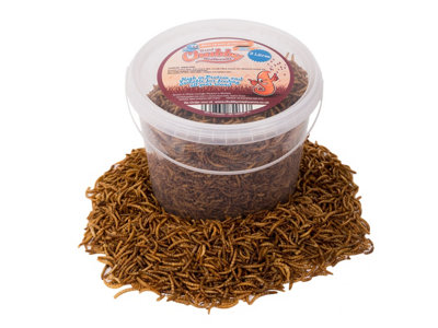 Chubby Mealworms 3 Litres Chubby Dried Mealworms from B&Q