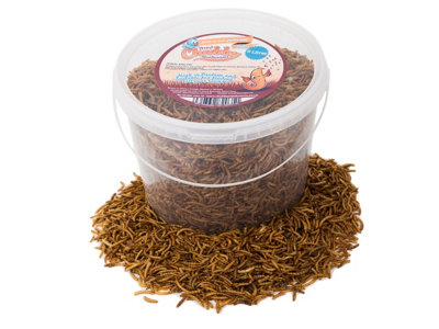 Chubby Mealworms 5 Litres Chubby Dried Mealworms from B&Q