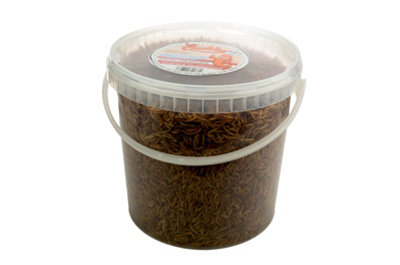 Chubby Mealworms 10 Litres Chubby Dried Mealworms from B&Q