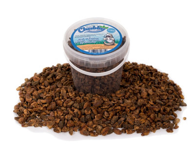 Chubby Mealworms 1 Litre Chubby Dried Silkworm Pupae from B&Q