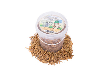 Chubby Mealworms 1 Litre Chubby Dried Black Soldier Fly Larvae from B&Q