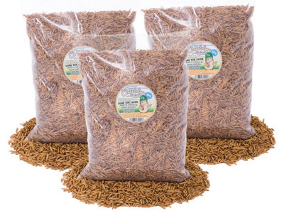 Chubby Mealworms 15Kg Chubby Dried Black Soldier Fly Larvae from B&Q