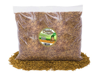 Chubby Mealworms 12.55Kg Chubby Dried Black Soldier Fly Larvae from B&Q