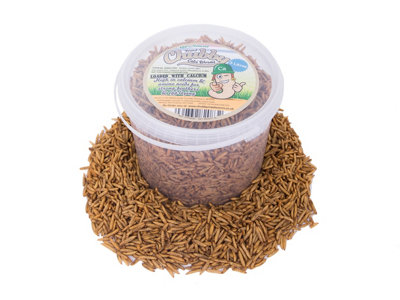 Chubby Mealworms 3 Litre Chubby Dried Black Soldier Fly Larvae from B&Q