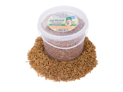 Chubby Mealworms 5 Litre Chubby Dried Black Soldier Fly Larvae from B&Q