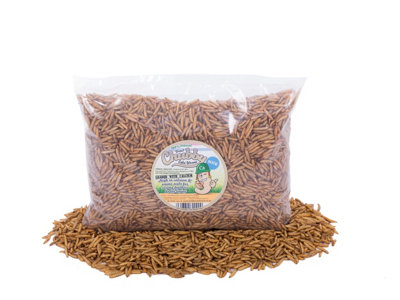 Chubby Mealworms 500G Chubby Dried Black Soldier Fly Larvae from B&Q