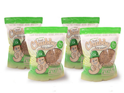 Chubby Mealworms 4Kg Chubby Dried Black Soldier Fly Larvae from B&Q