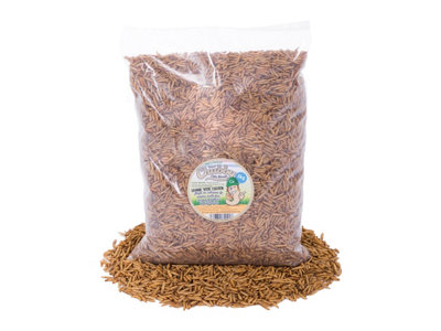 Chubby Mealworms 5Kg Chubby Dried Black Soldier Fly Larvae from B&Q