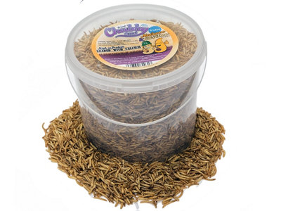 Chubby Mealworms 5 Litre Dried Chubby Mixes Mealworms & Black Soldier Fly Larvae from B&Q