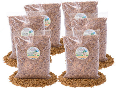 Chubby Mealworms 30Kg Dried Chubby Black Soldier Fly Larvae from B&Q