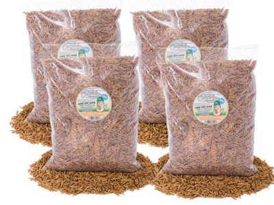Chubby Mealworms 20Kg Chubby Dried Black Soldier Fly Larvae from B&Q