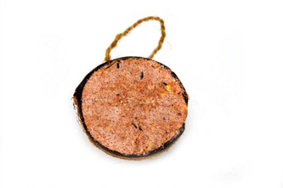 Chubby Pet Products Chubby Half Filled CoconutBerry Hanging Wild Bird Food from B&Q